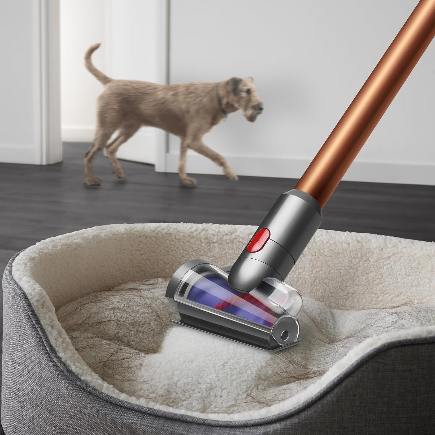 Dyson Cyclone V10 Absolute Cordless Vacuum Cleaner - Default Title - Image 5