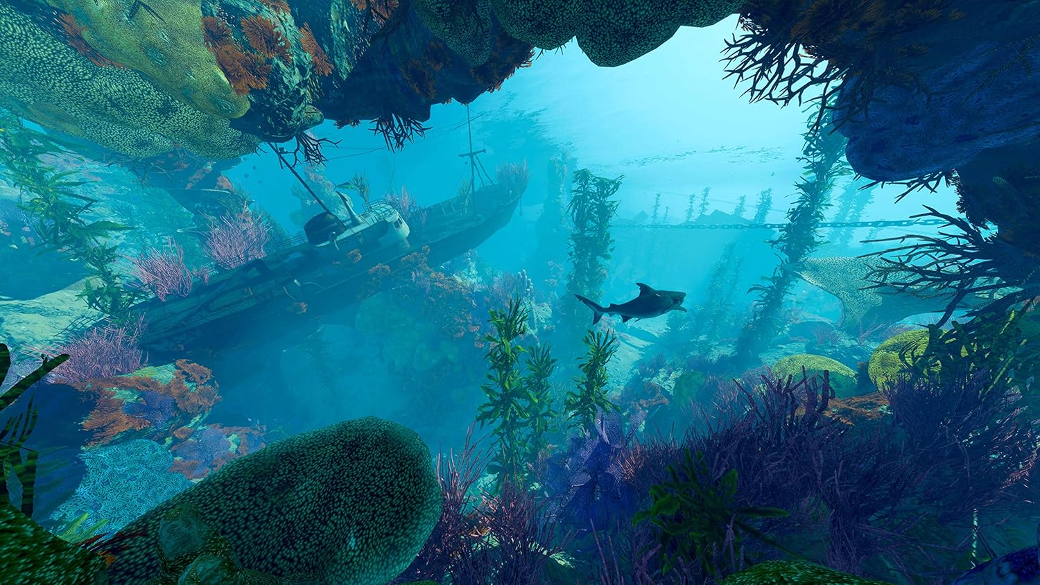 Sony PS5, Maneater, PlayStation 5 - Default Title - Image 10