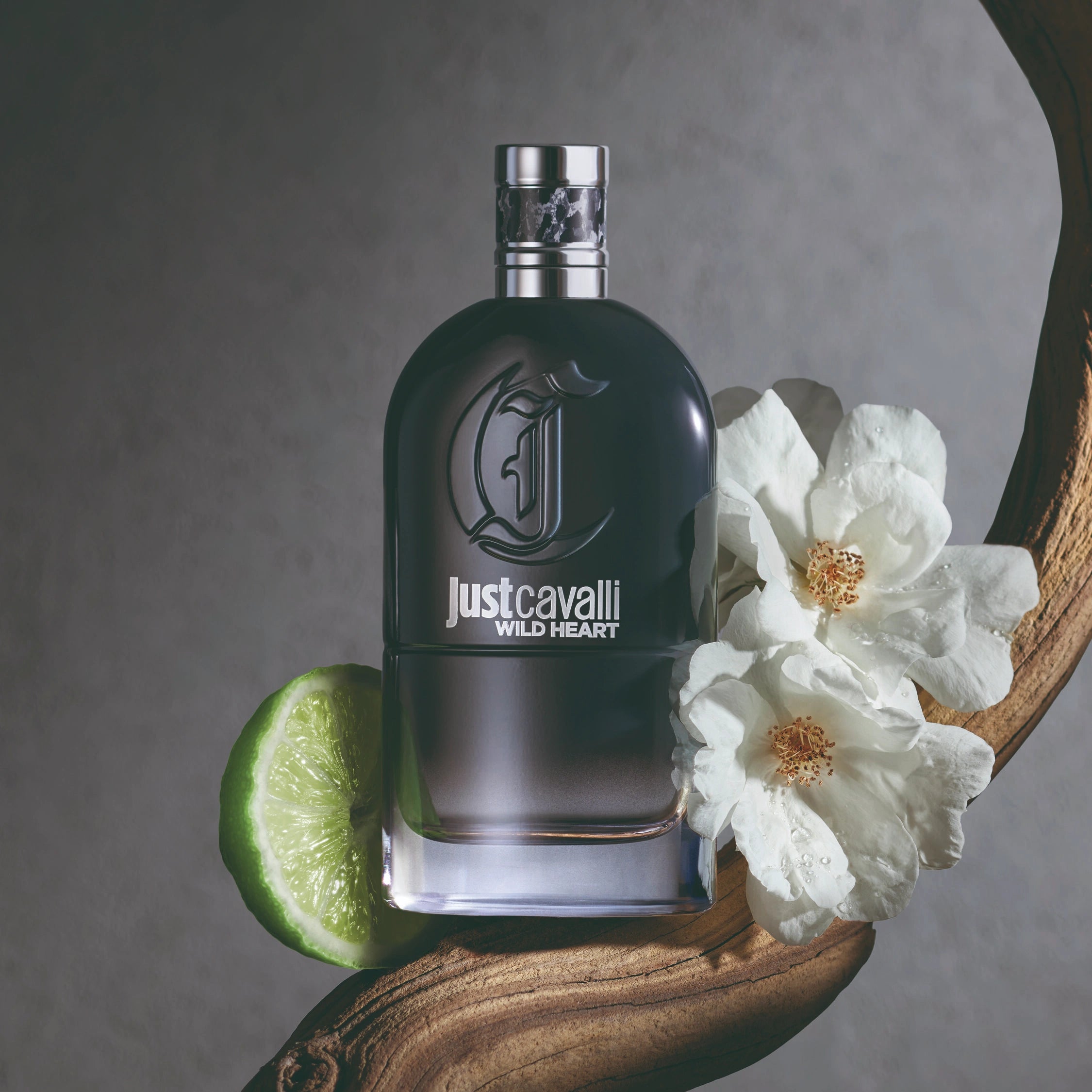 Roberto Cavalli Just Cavalli Wild Heart EDT For Him - 90 ml - Default Title - Image 4