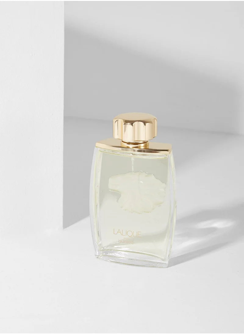 LALIQUE LION POUR HOMME-MEN-EDP-125ML - Default Title - Image 3