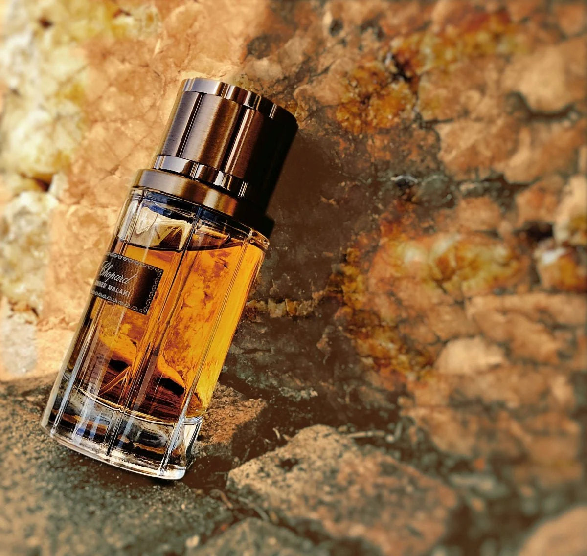 Chopard Amber Malaki EDP For Unisex - 80 ml - Default Title - Image 5