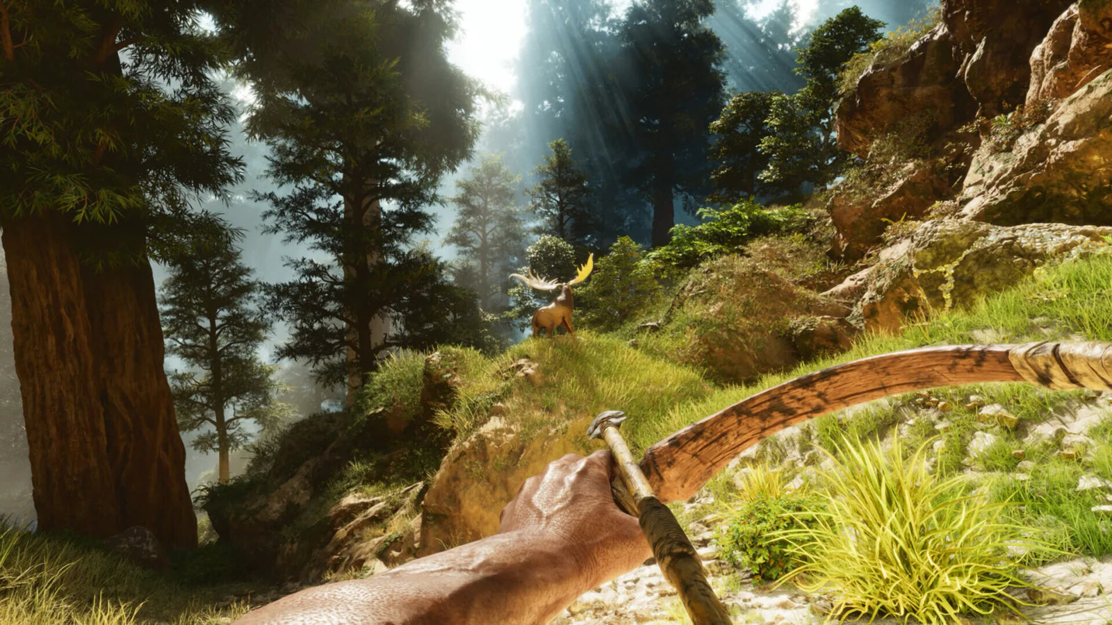 Sony PS5, ARK: Survival Ascended, PlayStation 5 - Default Title - Image 9