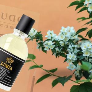 Moudon Lumia EDP For Unisex - 100 ml - Default Title - Image 4