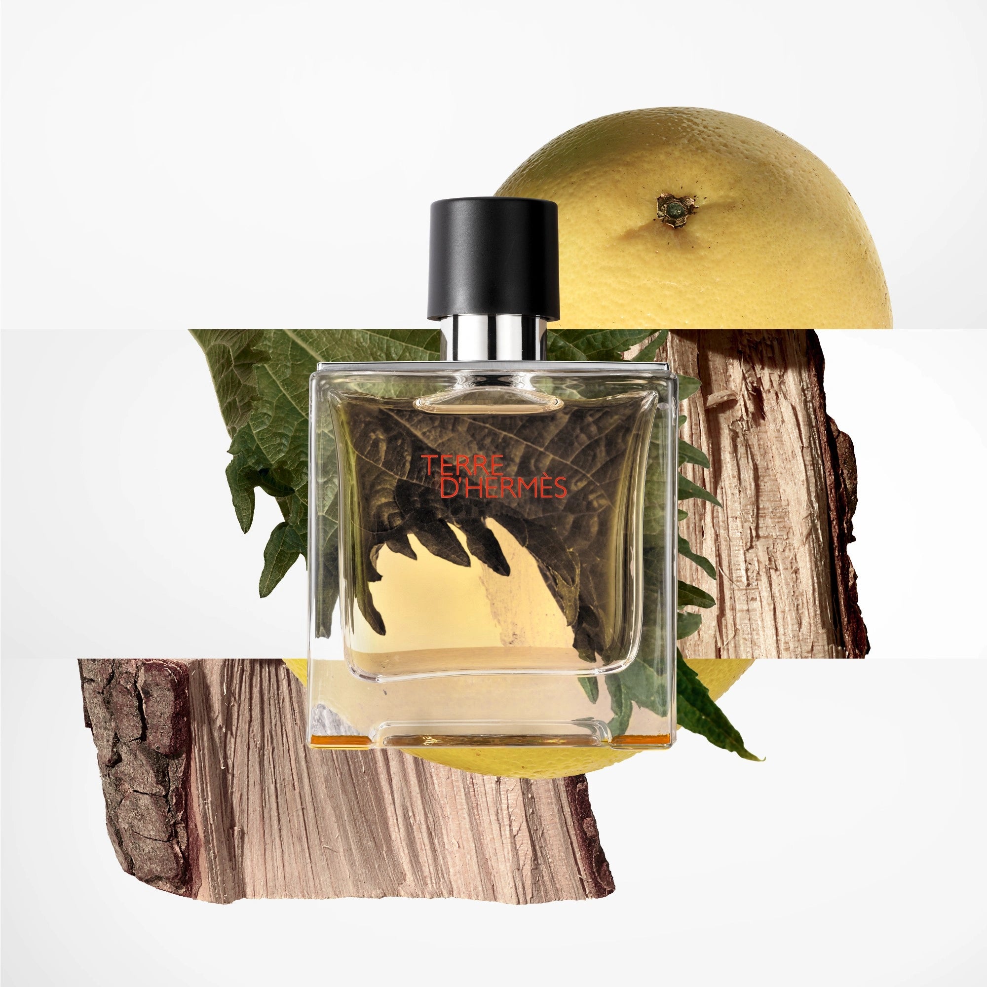 Hermès Terre D’Hermès EDP For Him - 75 ml - Default Title - Image 3