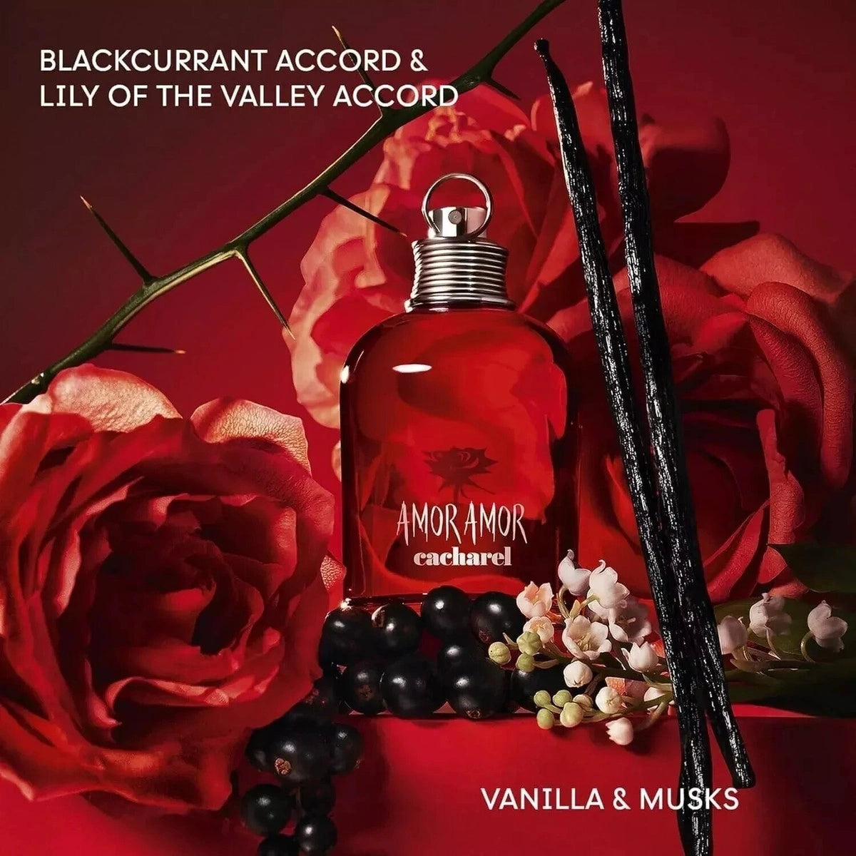 Cacharel Amor Amor EDT For Her - 50 ml - Default Title - Image 3