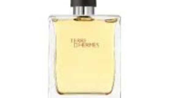 Hermes Terre D'Hermes EDT For Him - 100 ml