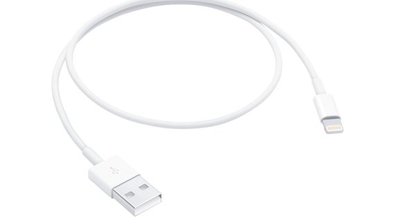 LU Apple Lightning to USB Cable (0.5 m) ME291